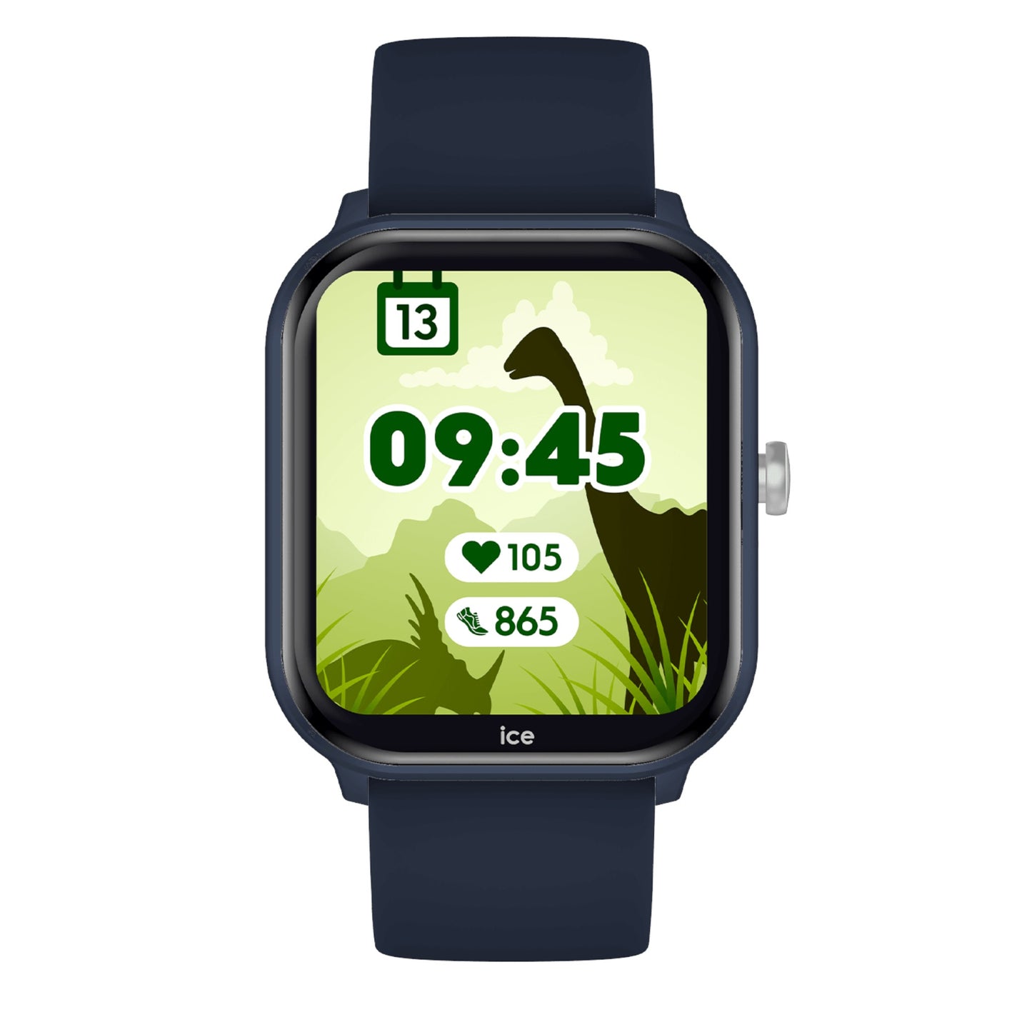 ICE WATCH | 24295