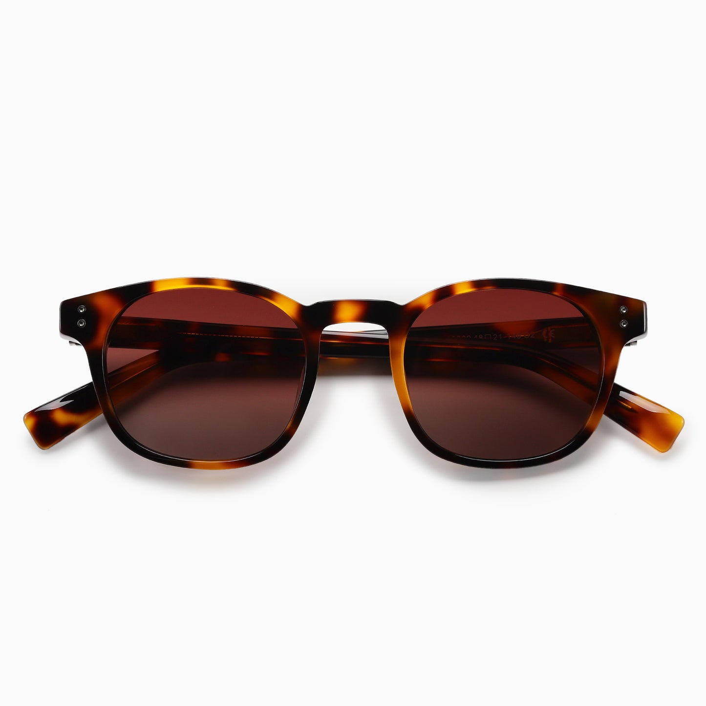 SUNGLASSES | OZ6009