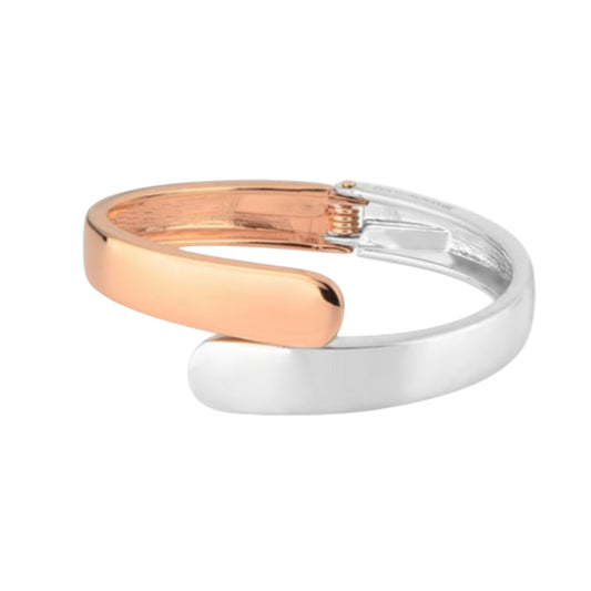 ALY51-J30060