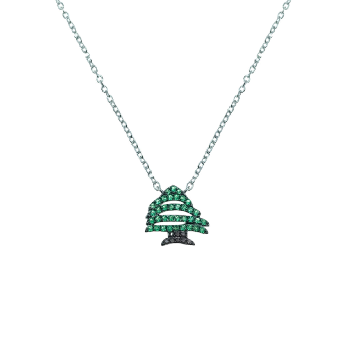 POLO EXCHNAGE NECKLACE | SHN6393