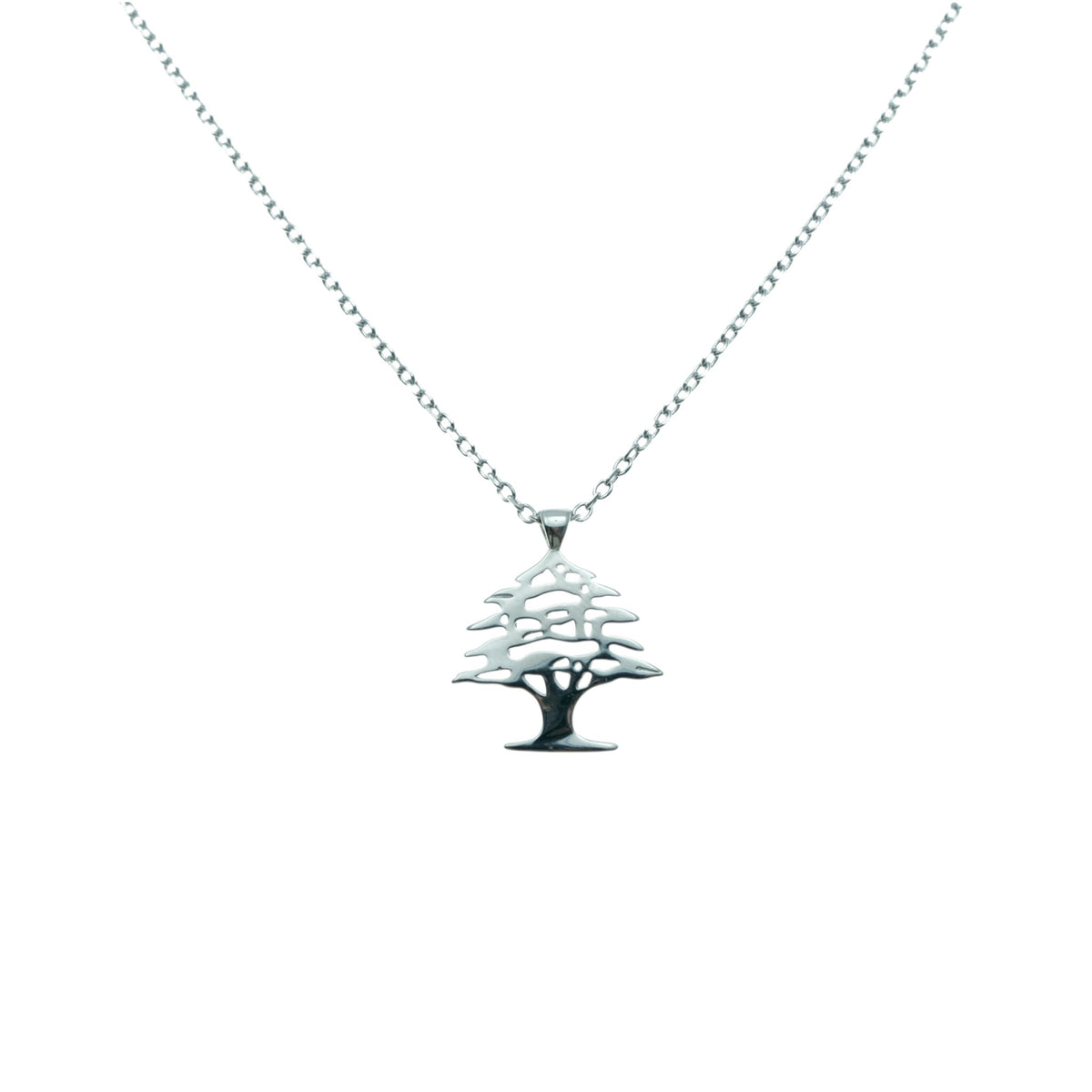 POLO EXCHNAGE NECKLACE | SHN6394